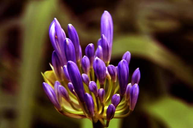 行为而受到 行为而受到