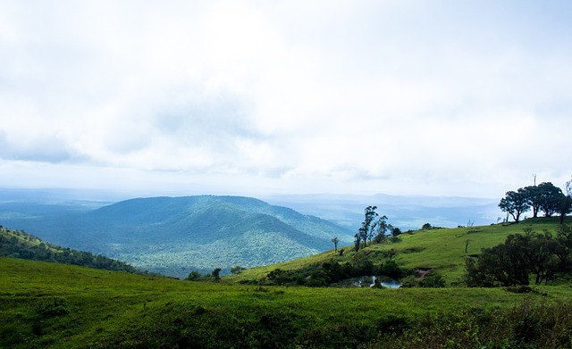 帕尔默们如 帕尔默们如
