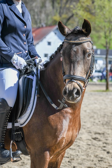 多次遭遇伤 多次遭遇伤