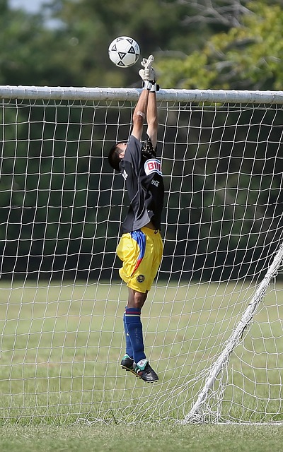 个赛季中 个赛季中